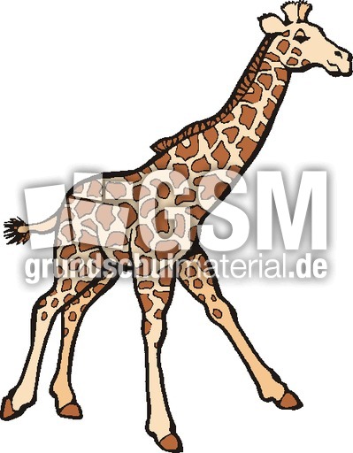 Giraffe.tif